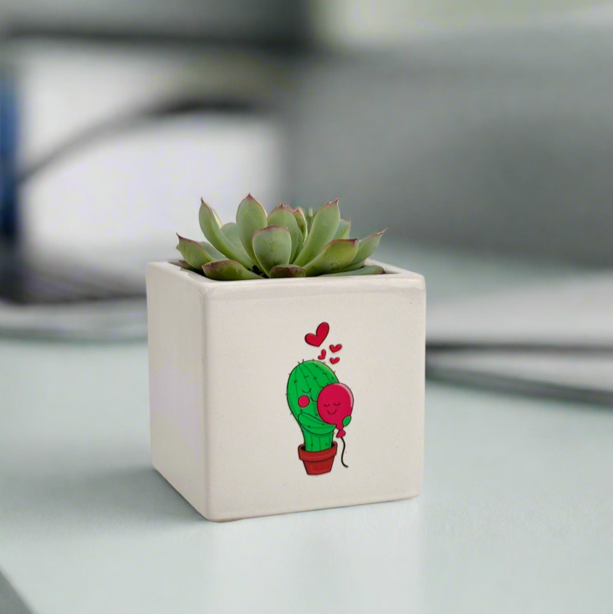 Funny Plant Gift