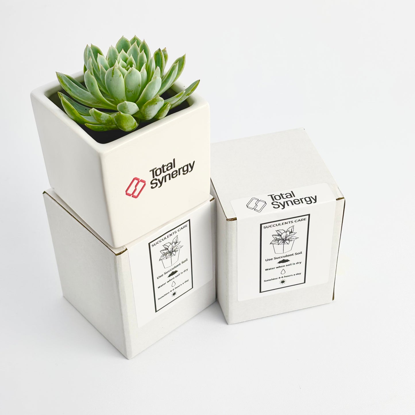 Plant gift personalised box