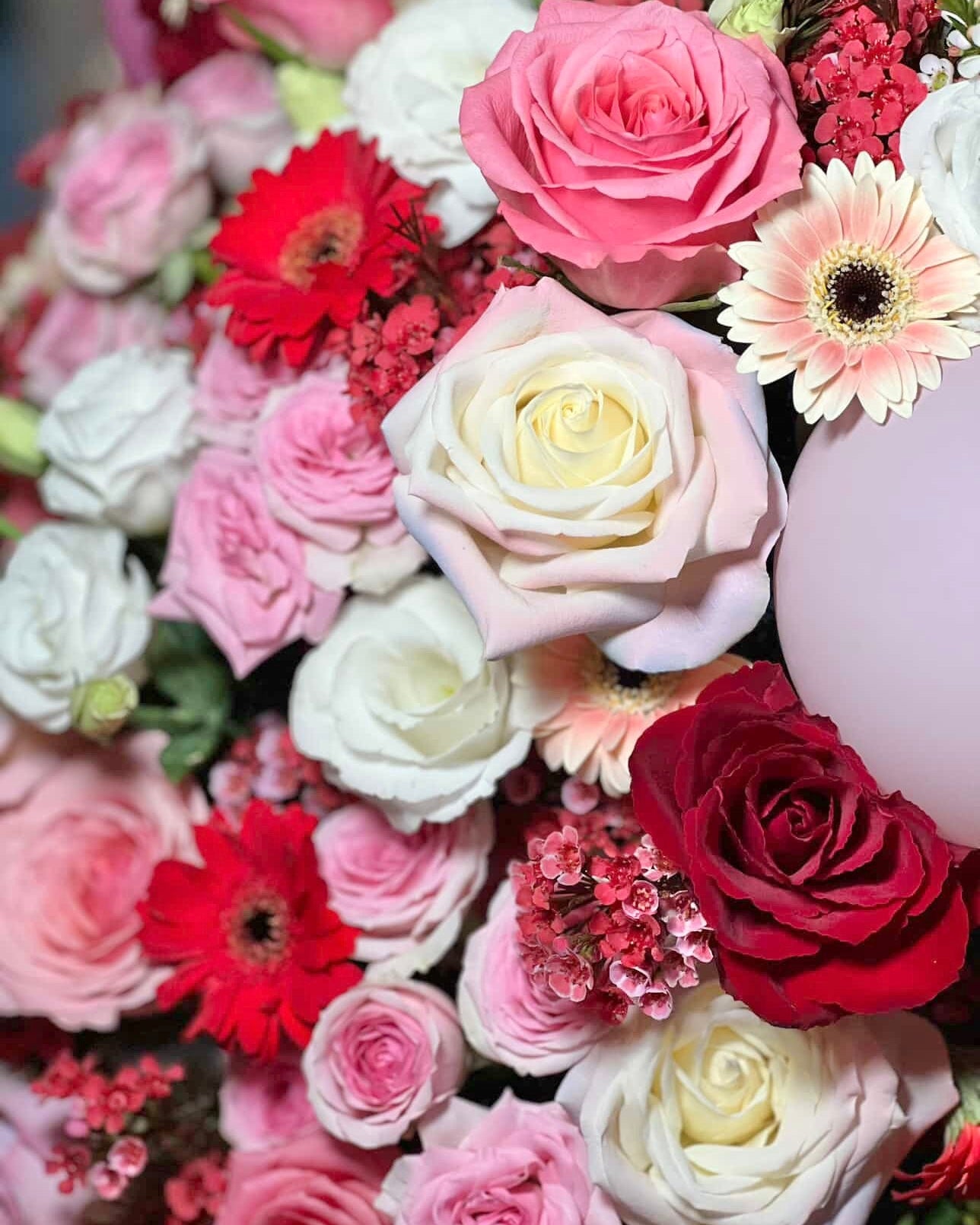 flowers in red and pink colours