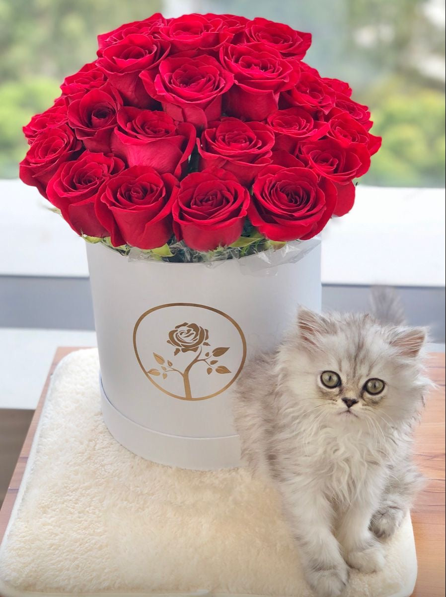Premium Rose Box -Valentine’s Day Flowers Sydney