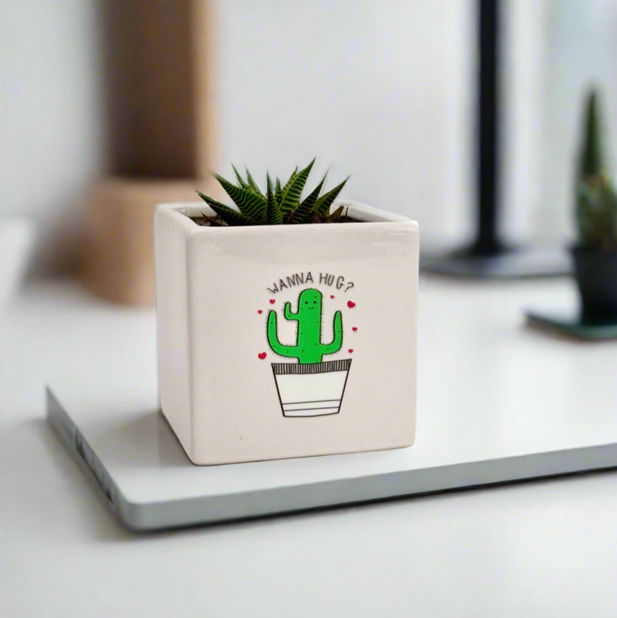 Funny Plant Gifts with writing