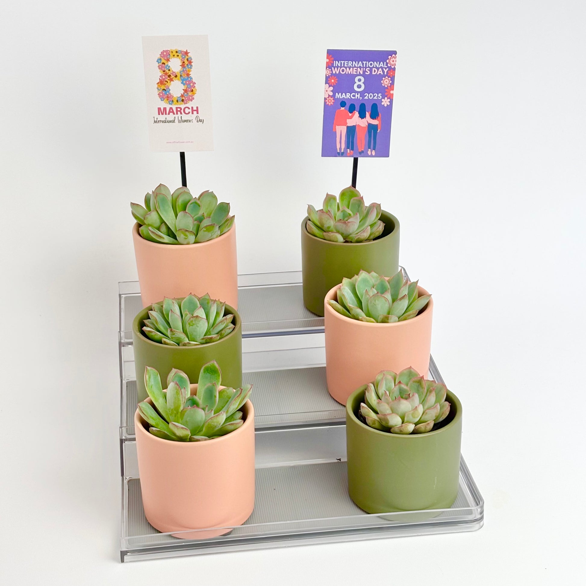 plant gifts for women