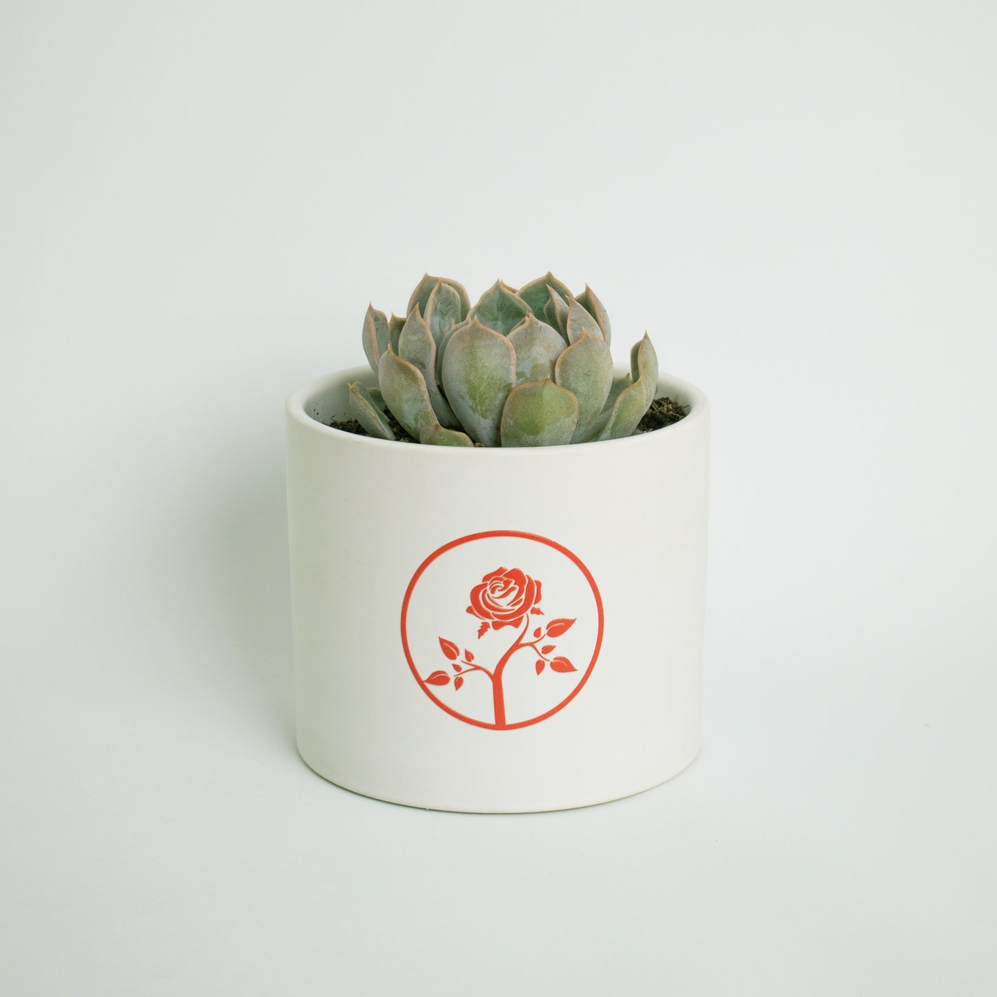 Large Personalised Succulent – Custom Logo Ceramic Pot