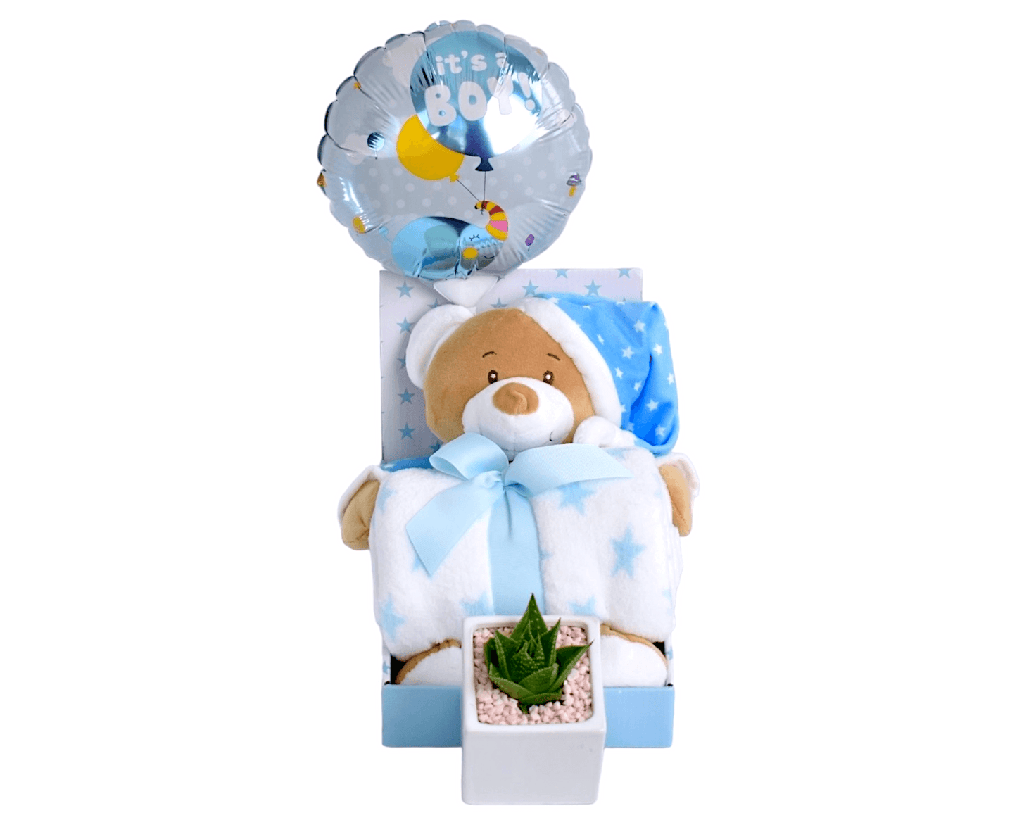 Succulent Gift Boxes | Baby Hampers - Office Flower