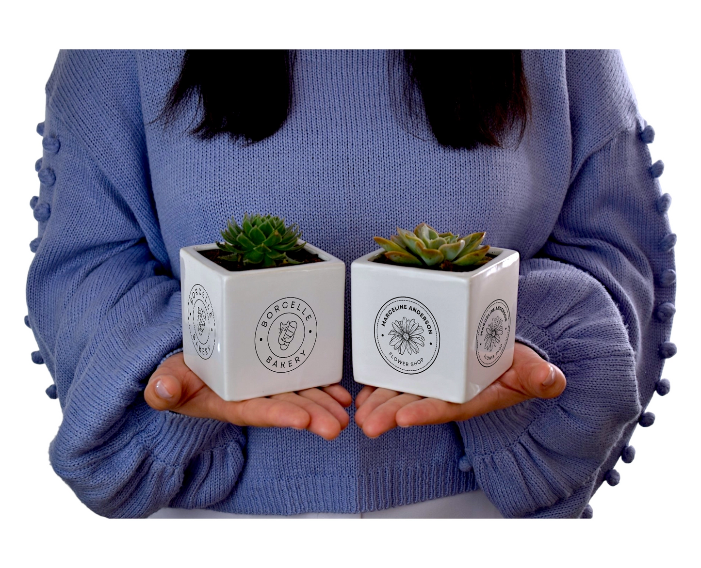Personalised Succulent in White Ceramic Pots - Office Flower