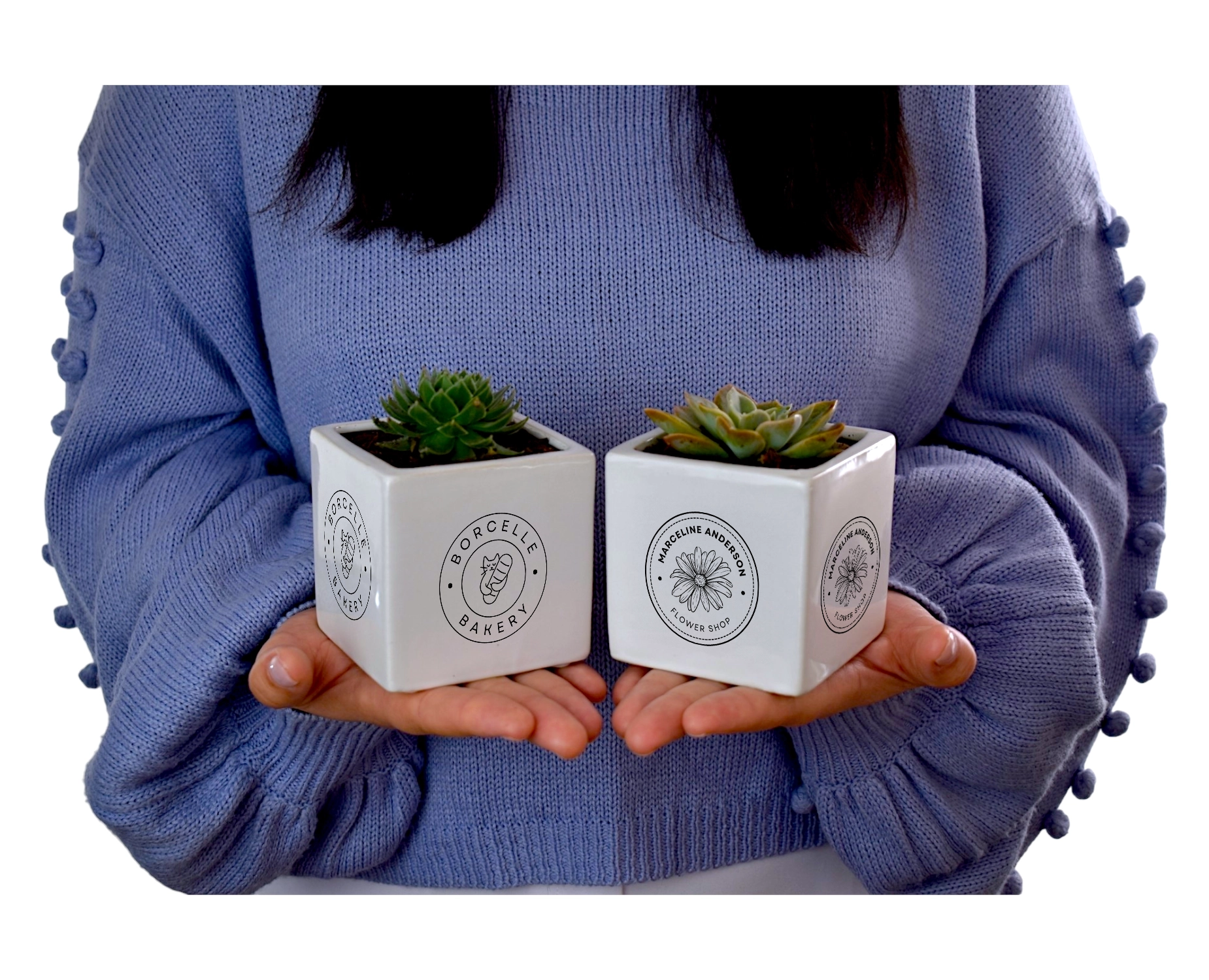 Personalised Succulent in White Ceramic Pots - Office Flower