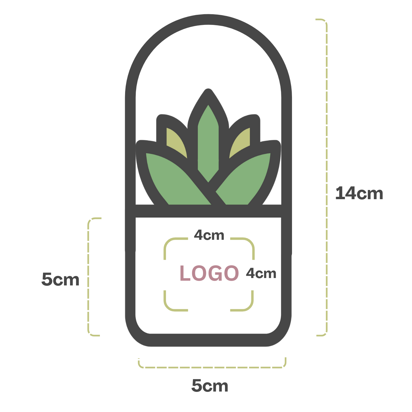 Succulent box size guide