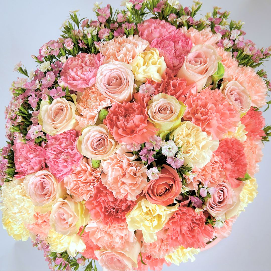 White and Pink Blooms - Office Flower