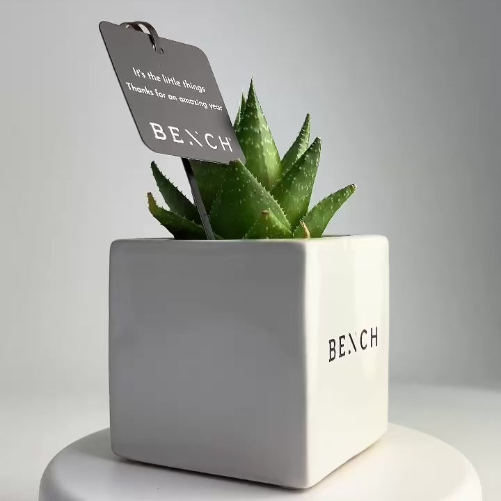 Custom succulent with logo