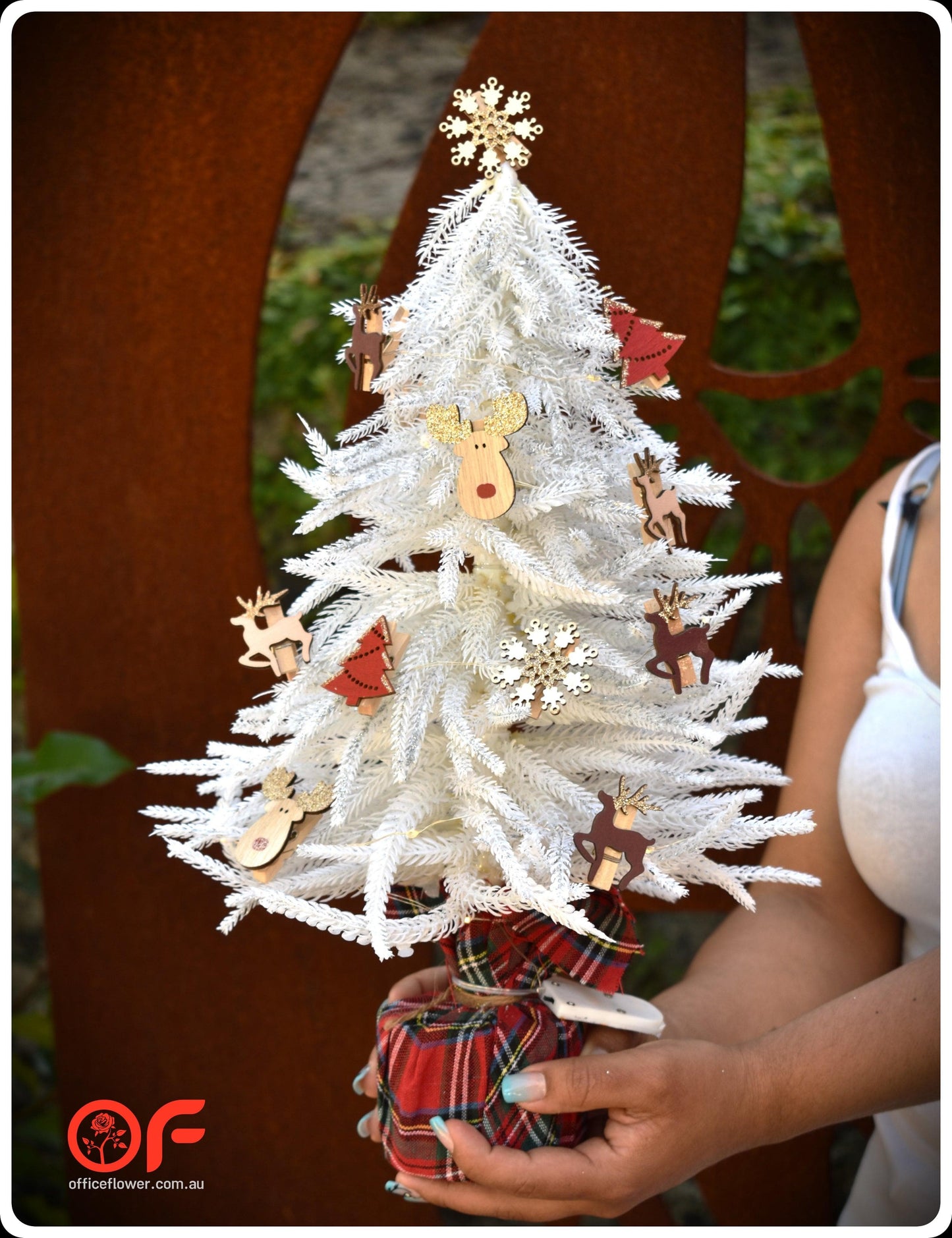 Christmas Tree Gift Box - Office Flower