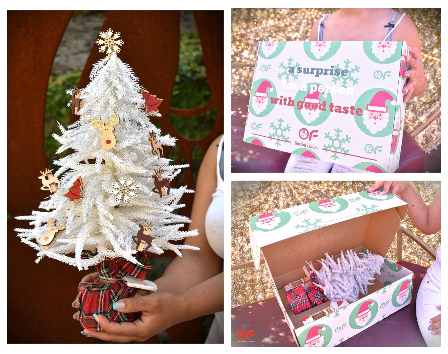 Christmas Tree Gift Box - Office Flower