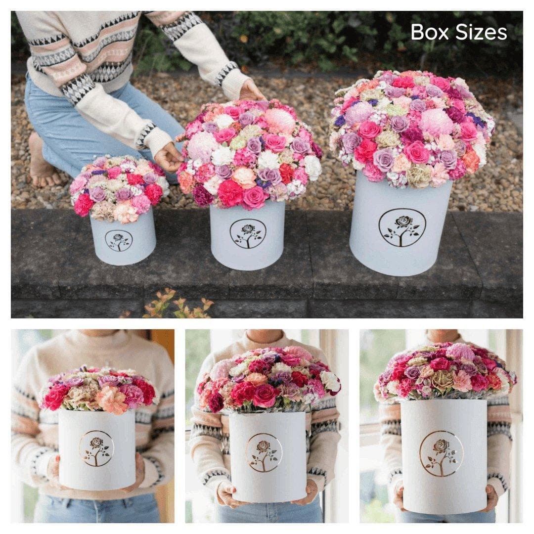 Bright Beauty | White, Purple, and Pink Blooms - Office Flower