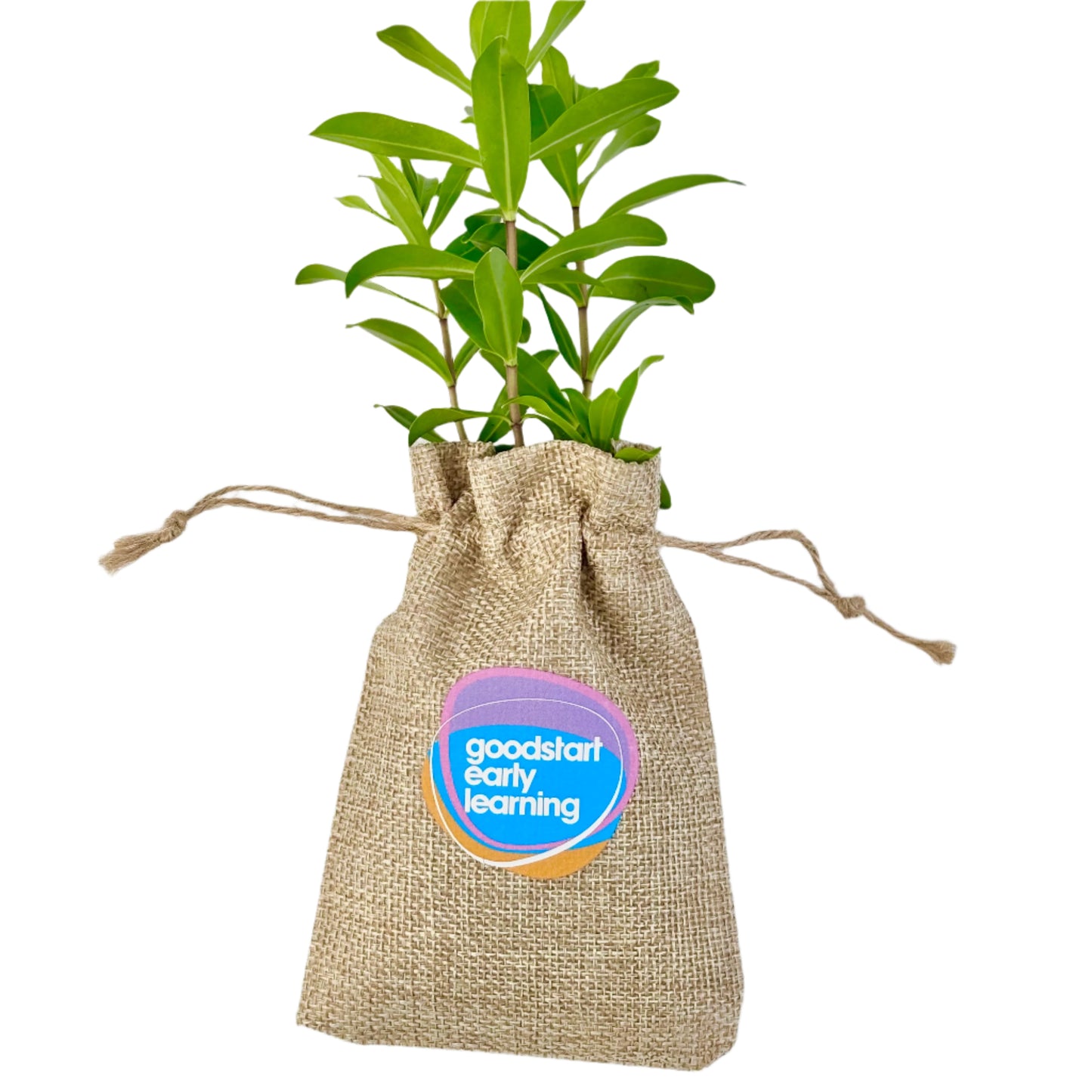 Personalized plant gift 