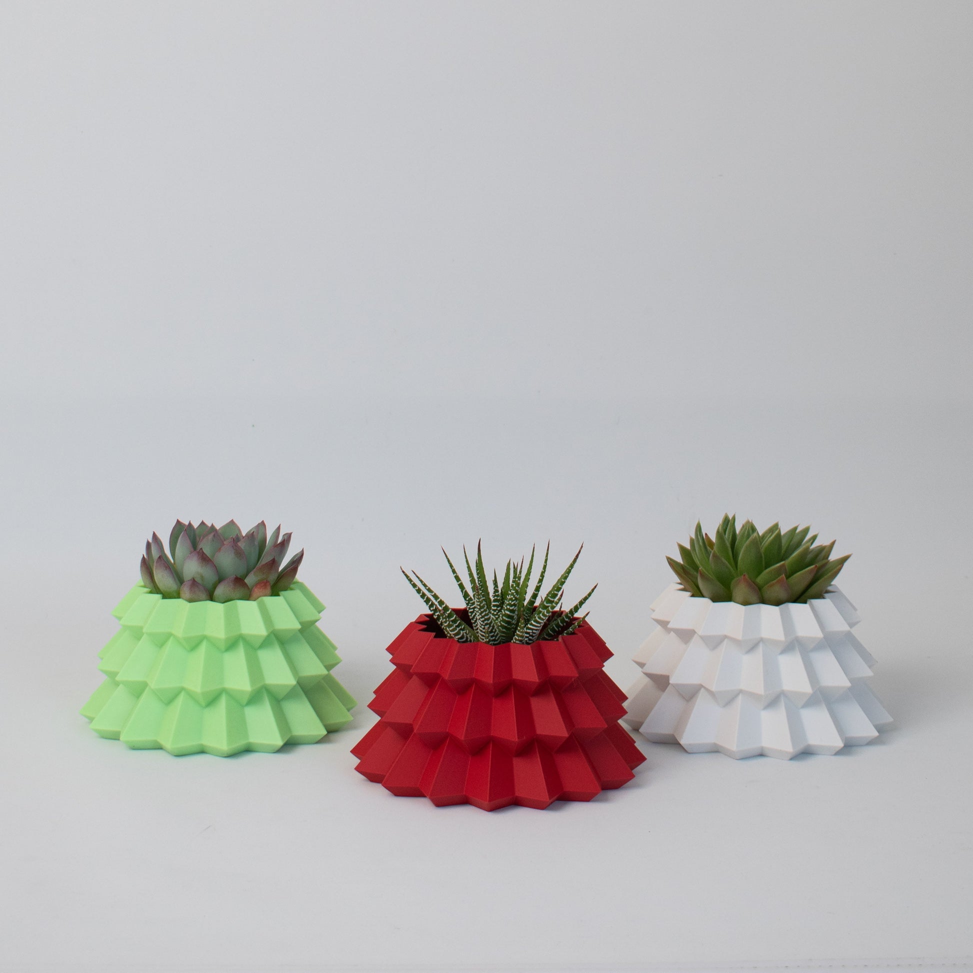 Three Christmas tree succulent planters in green, red, and white, displayed side-by-side on a white backdrop