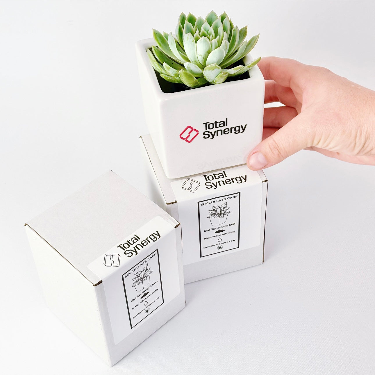 Corporate plant box