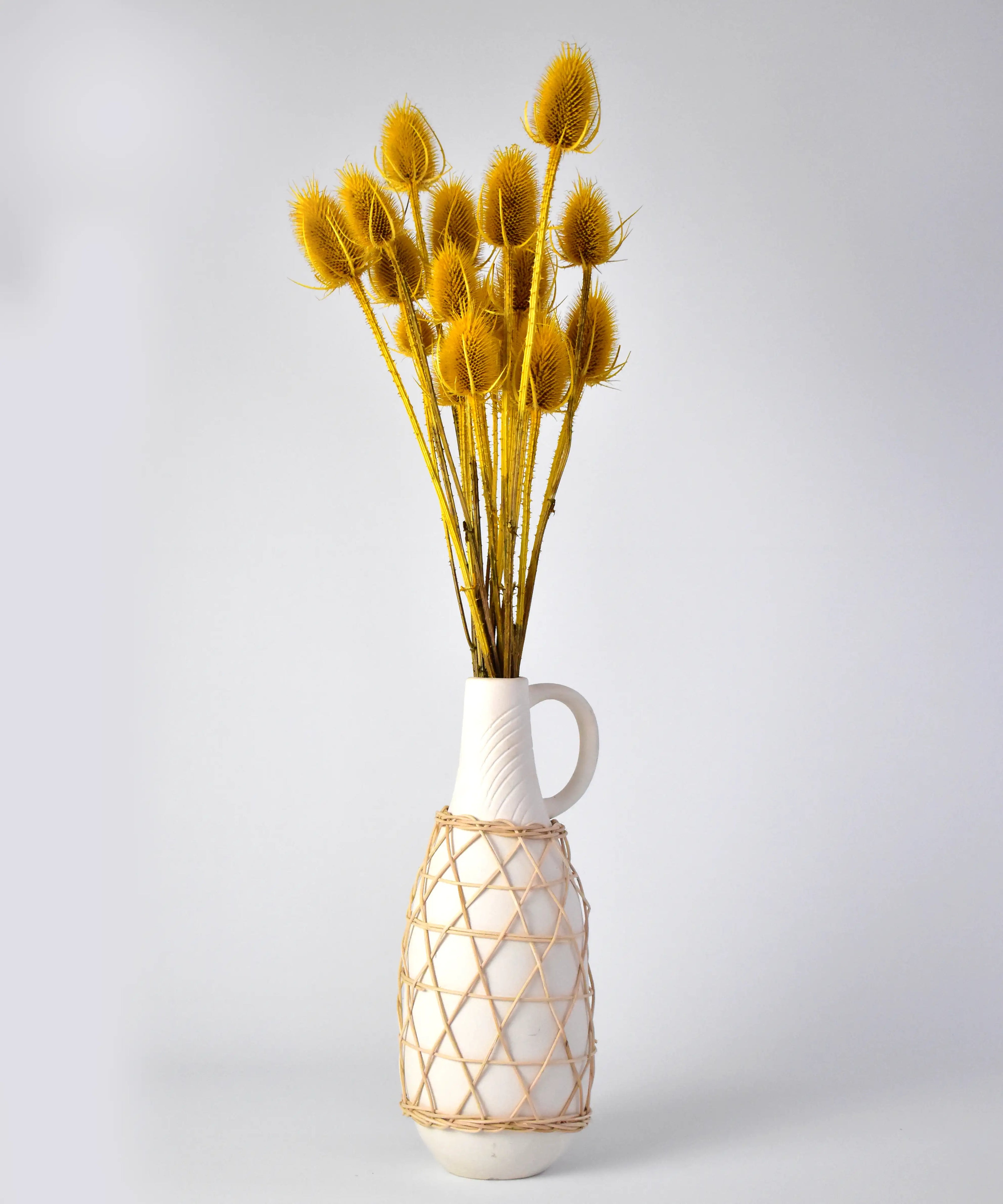 Golden Dried Teasel - Office Flower