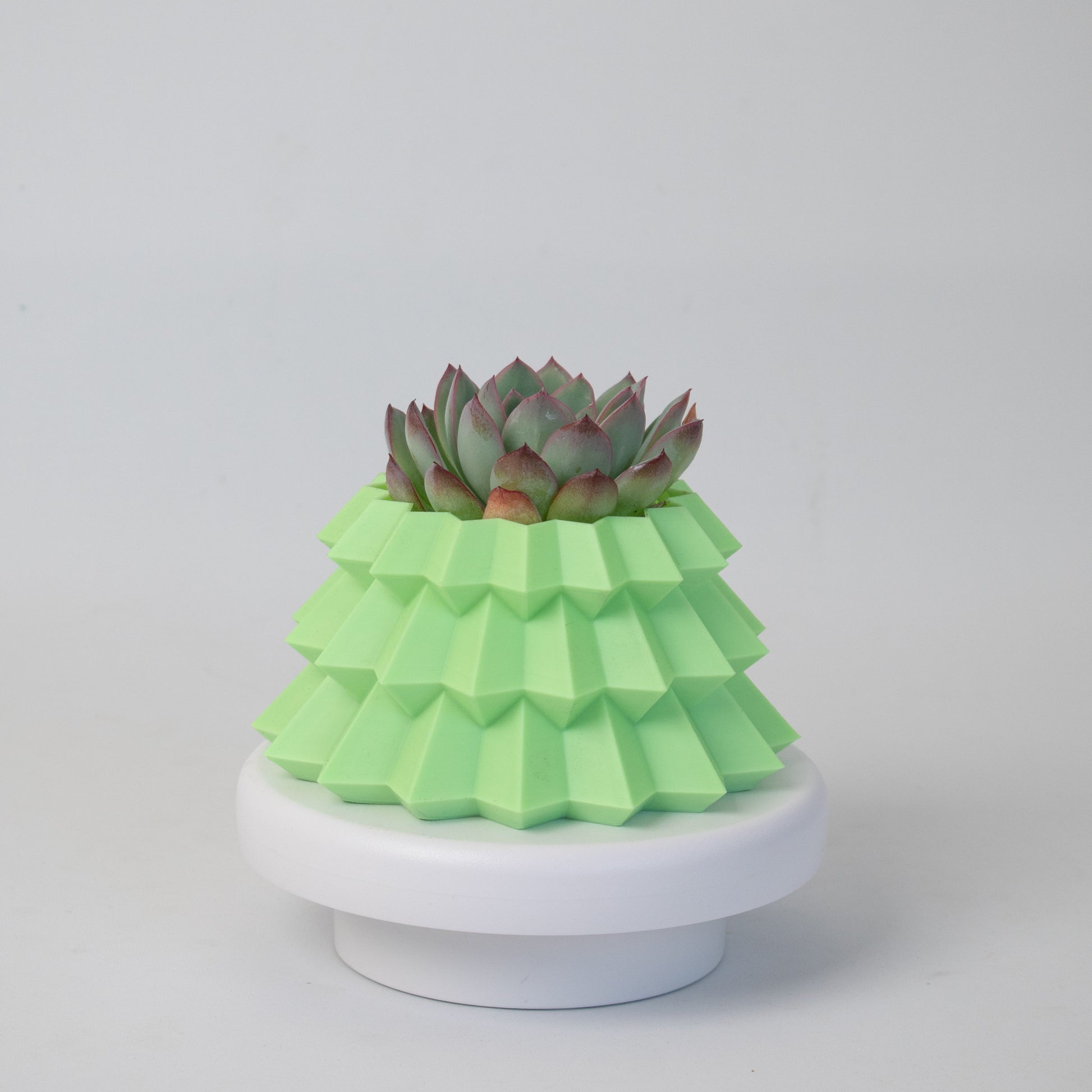 Green geometric Christmas tree–shaped planter with a rosette succulent on a white background