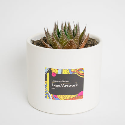 Custom-Branded Large Succulent Gift Pot
