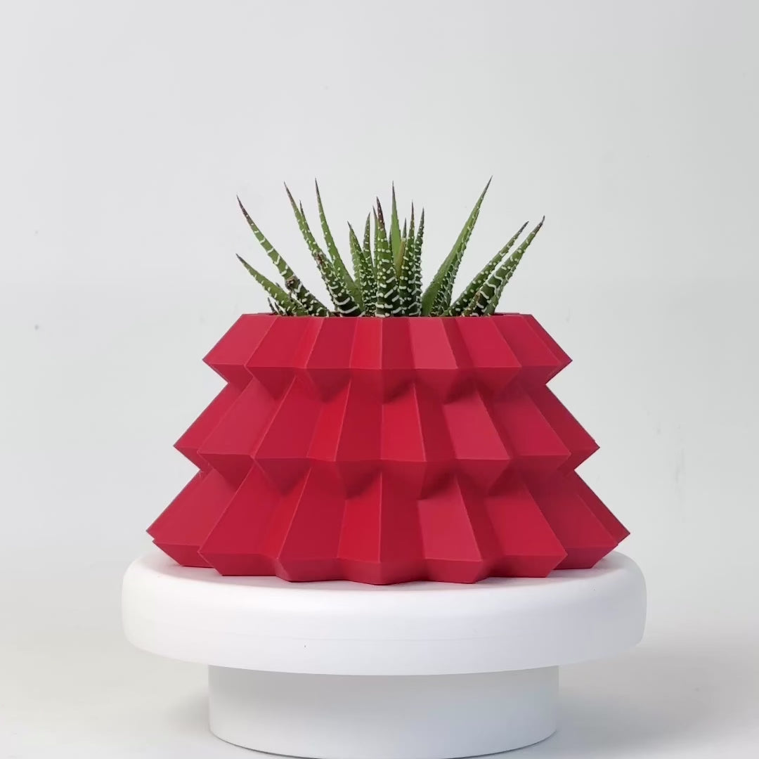 Red Christmas Succulent gift pot