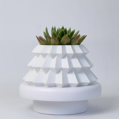 White Christmas Succulent Gift pot 