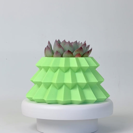 Christmas Succulent pot