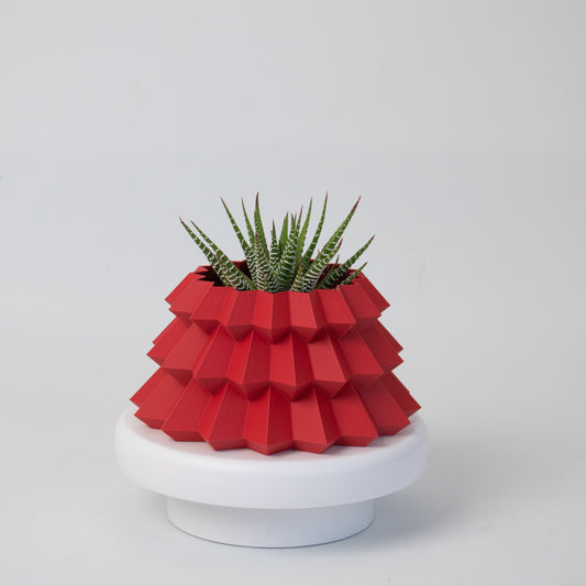 Red Christmas tree style planter holding a zebra haworthia succulent