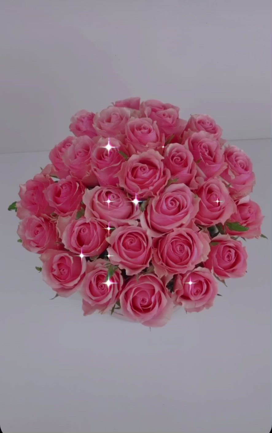 Pink Roses in a box - Officeflower
